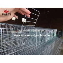 Quail Farming Cages For Africa Market